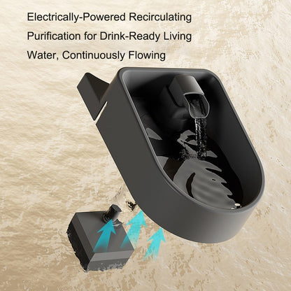 2 In 1 Automatic Pet Feeder