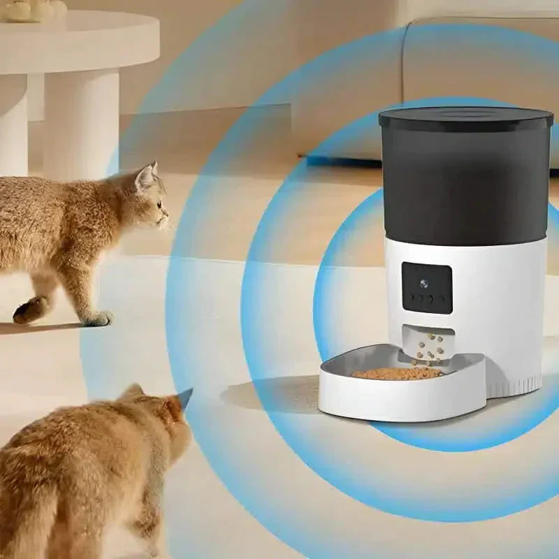 Pet Automatic Feeder